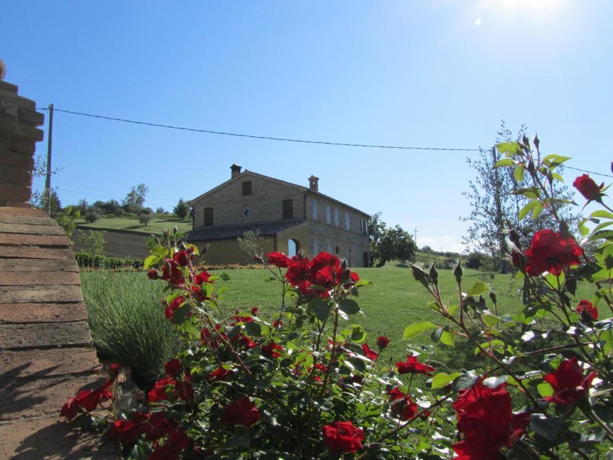 Agriturismo La Vecchia Fonte Castelbellino Экстерьер фото