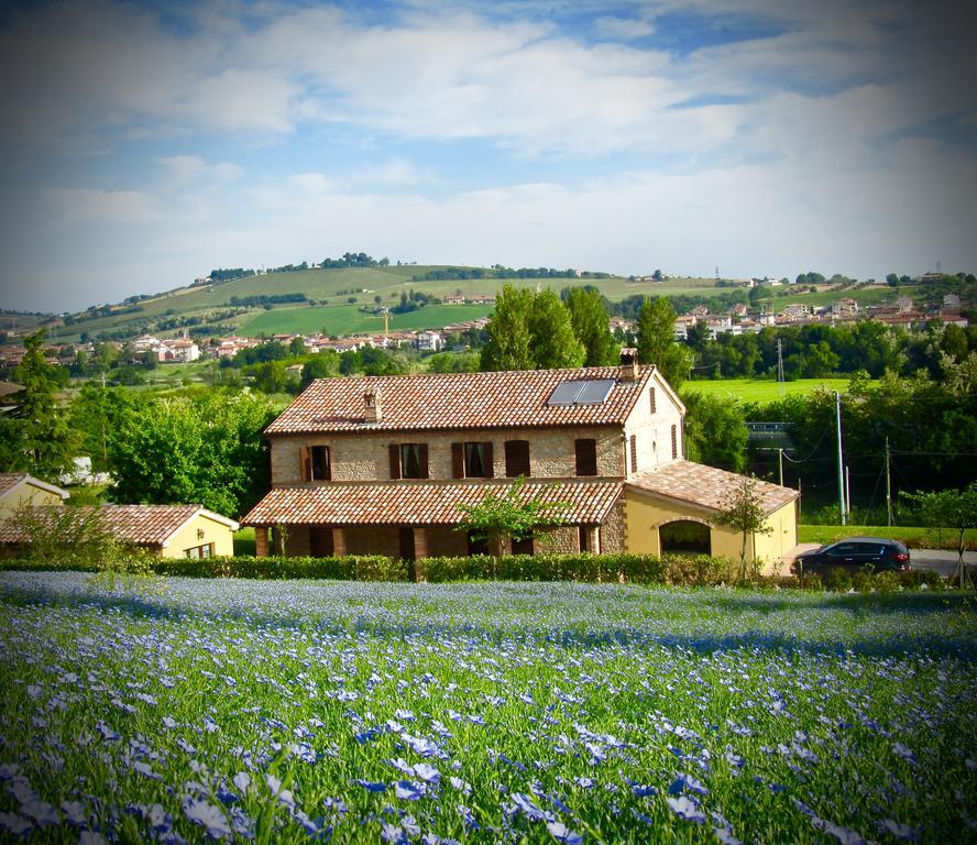 Agriturismo La Vecchia Fonte Castelbellino Экстерьер фото